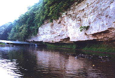 Jizera
