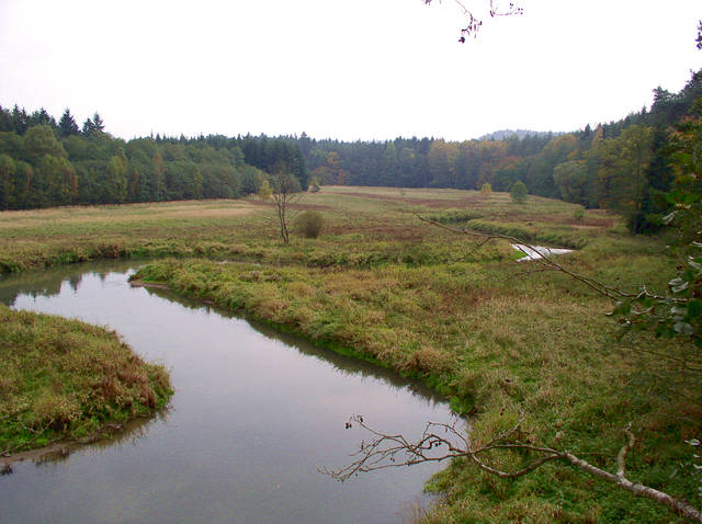 Ploučnice / F: Šakal